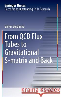 From QCD Flux Tubes to Gravitational S-Matrix and Back Gorbenko, Victor 9783319446028 Springer