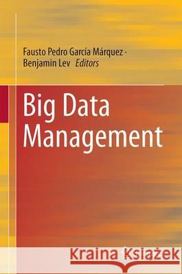 Big Data Management Fausto Pedro Garci Benjamin Lev 9783319454979 Springer