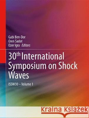 30th International Symposium on Shock Waves 1: Issw30 - Volume 1 Ben-Dor, Gabi 9783319462110 Springer