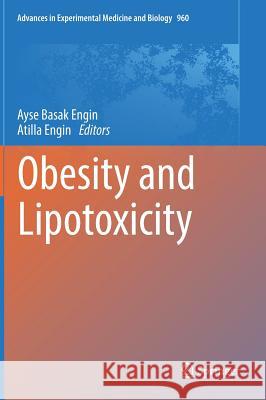 Obesity and Lipotoxicity Ayse Basak Engin Atilla Engin 9783319483801 Springer