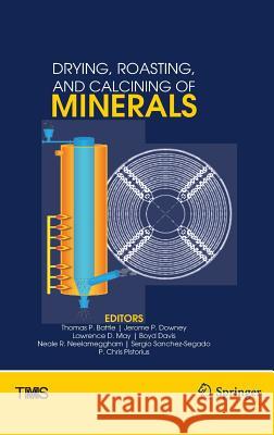 Drying, Roasting, and Calcining of Minerals Thomas Battle Jerome Downey Lawrence May 9783319486000