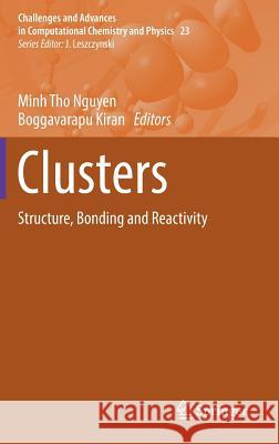 Clusters: Structure, Bonding and Reactivity Nguyen, Minh Tho 9783319489162 Springer