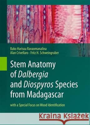 Stem Anatomy of Dalbergia and Diospyros Species from Madagascar: With a Special Focus on Wood Identification Ravaomanalina, Bako Harisoa 9783319511450 Springer
