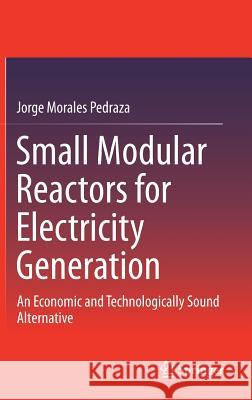 Small Modular Reactors for Electricity Generation: An Economic and Technologically Sound Alternative Morales Pedraza, Jorge 9783319522159 Springer