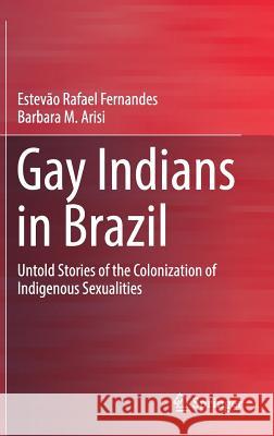Gay Indians in Brazil: Untold Stories of the Colonization of Indigenous Sexualities Fernandes, Estevão Rafael 9783319532240 Springer