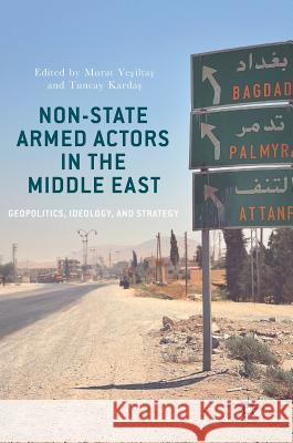 Non-State Armed Actors in the Middle East: Geopolitics, Ideology, and Strategy Yeşiltaş, Murat 9783319552866