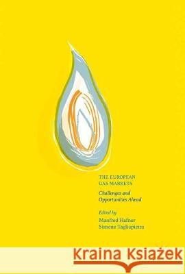 The European Gas Markets: Challenges and Opportunities Hafner, Manfred 9783319558004 Palgrave MacMillan