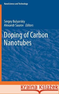 Doping of Carbon Nanotubes Sergey Bulyarskiy Alexandr Saurov 9783319558820 Springer