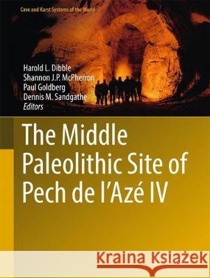 The Middle Paleolithic Site of Pech de l'Azé IV Harold Dibble Shannon McPherron 9783319575223 Springer