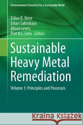 Sustainable Heavy Metal Remediation: Volume 1: Principles and Processes Rene, Eldon R. 9783319586212