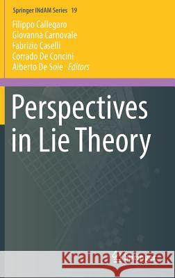 Perspectives in Lie Theory Filippo Callegaro Giovanna Carnovale Fabrizio Caselli 9783319589701