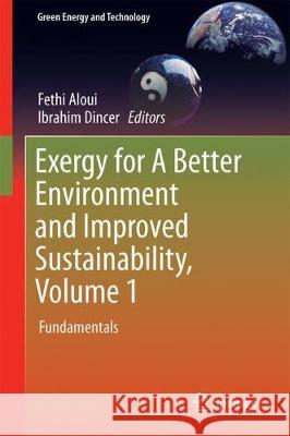 Exergy for a Better Environment and Improved Sustainability 1: Fundamentals Aloui, Fethi 9783319625713 Springer