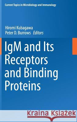 Igm and Its Receptors and Binding Proteins Kubagawa, Hiromi 9783319645247 Springer