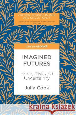 Imagined Futures: Hope, Risk and Uncertainty Cook, Julia 9783319653242 Palgrave MacMillan