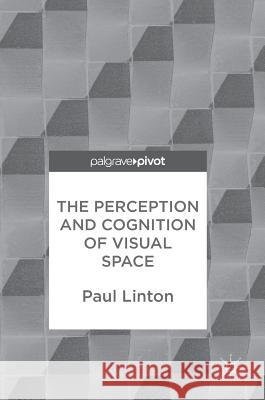 The Perception and Cognition of Visual Space Paul Linton 9783319662923 Palgrave MacMillan