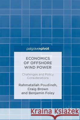 Economics of Offshore Wind Power: Challenges and Policy Considerations Poudineh, Rahmatallah 9783319664194 Palgrave MacMillan