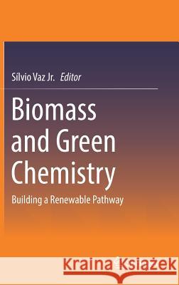 Biomass and Green Chemistry: Building a Renewable Pathway Vaz Jr, Sílvio 9783319667355 Springer