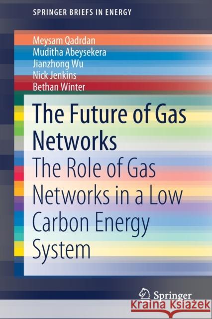 The Future of Gas Networks: The Role of Gas Networks in a Low Carbon Energy System Qadrdan, Meysam 9783319667836 Springer