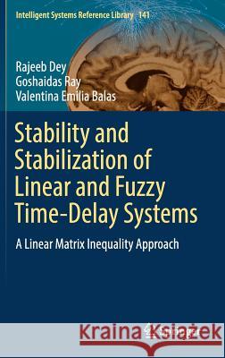 Stability and Stabilization of Linear and Fuzzy Time-Delay Systems: A Linear Matrix Inequality Approach Dey, Rajeeb 9783319701479