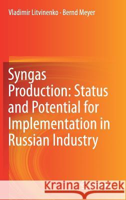 Syngas Production: Status and Potential for Implementation in Russian Industry Vladimir Litvinenko Bernd Meyer 9783319709628 Springer