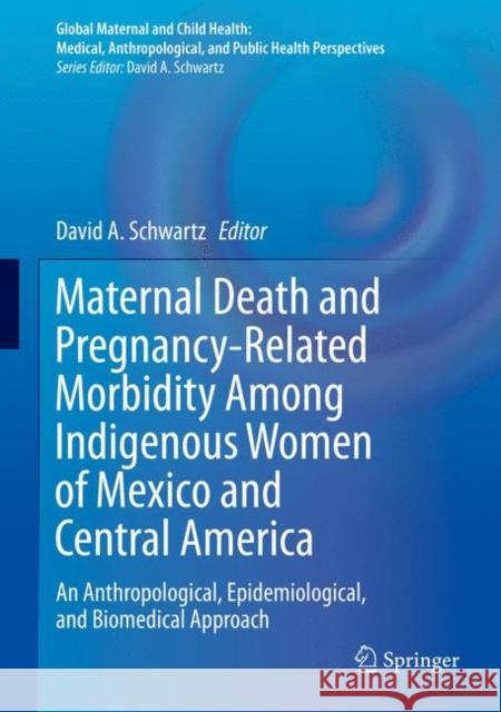 Maternal Death and Pregnancy-Related Morbidity Among Indigenous Women of Mexico and Central America: An Anthropological, Epidemiological, and Biomedic Schwartz, David A. 9783319715377 Springer