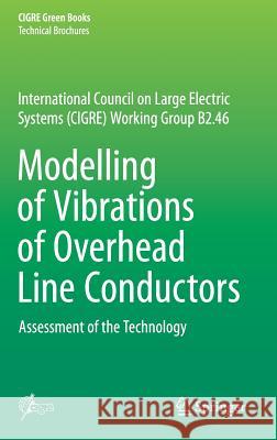 Modelling of Vibrations of Overhead Line Conductors: Assessment of the Technology Diana, Giorgio 9783319728070 Springer