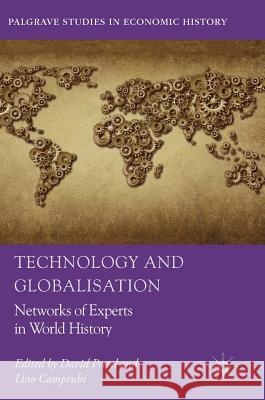 Technology and Globalisation: Networks of Experts in World History Pretel, David 9783319754499 Palgrave MacMillan