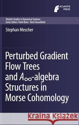 Perturbed Gradient Flow Trees and A∞-Algebra Structures in Morse Cohomology Mescher, Stephan 9783319765839 Springer