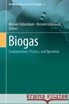 Biogas: Fundamentals, Process, and Operation Tabatabaei, Meisam 9783319773346 Springer