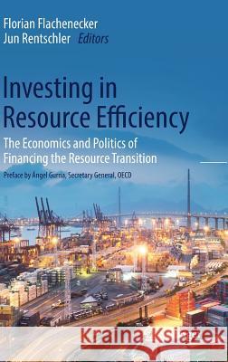 Investing in Resource Efficiency: The Economics and Politics of Financing the Resource Transition Flachenecker, Florian 9783319788661 Springer