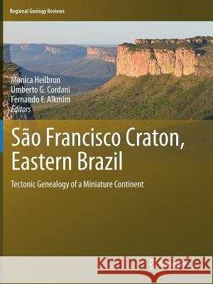 São Francisco Craton, Eastern Brazil: Tectonic Genealogy of a Miniature Continent Heilbron, Monica 9783319791302 Springer