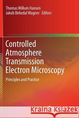 Controlled Atmosphere Transmission Electron Microscopy: Principles and Practice Hansen, Thomas Willum 9783319794402