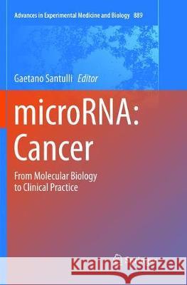 MicroRNA: Cancer: From Molecular Biology to Clinical Practice Santulli, Gaetano 9783319795270 Springer International Publishing AG