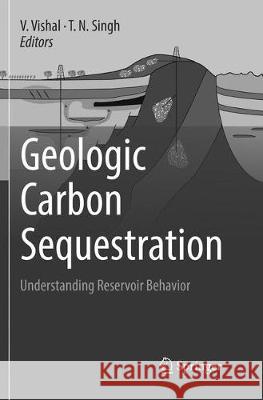 Geologic Carbon Sequestration: Understanding Reservoir Behavior Vishal, V. 9783319800592