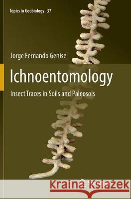 Ichnoentomology: Insect Traces in Soils and Paleosols Genise, Jorge Fernando 9783319802985