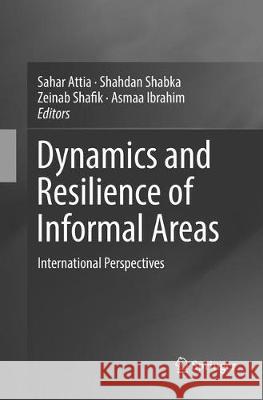Dynamics and Resilience of Informal Areas: International Perspectives Attia, Sahar 9783319806921