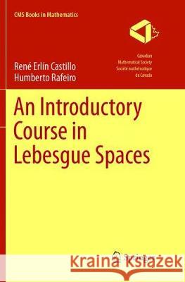 An Introductory Course in Lebesgue Spaces Castillo, Rene Erlin; Rafeiro, Humberto 9783319807096