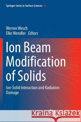 Ion Beam Modification of Solids: Ion-Solid Interaction and Radiation Damage Wesch, Werner 9783319815473 Springer