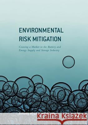Environmental Risk Mitigation: Coaxing a Market in the Battery and Energy Supply and Storage Industry Weiss, Barbara 9783319816395 Palgrave MacMillan