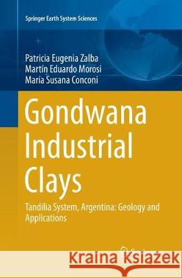 Gondwana Industrial Clays: Tandilia System, Argentina-Geology and Applications Zalba, Patricia Eugenia 9783319818900 Springer