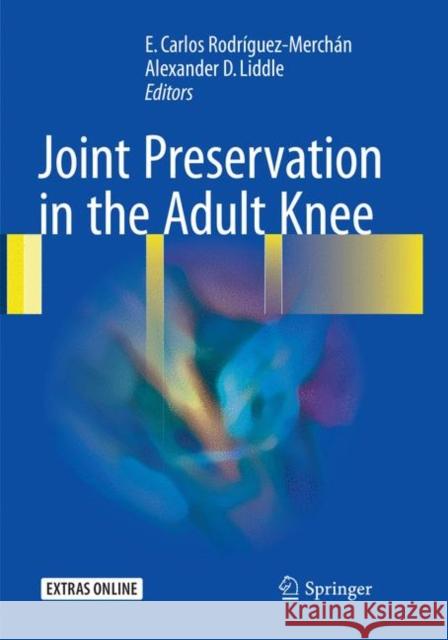 Joint Preservation in the Adult Knee  9783319824352 Springer