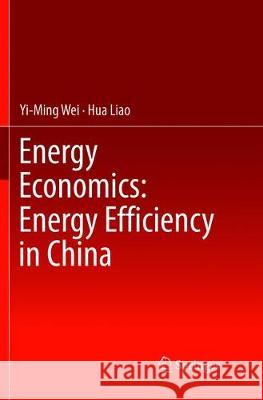 Energy Economics: Energy Efficiency in China Yi-Ming Wei Hua Liao 9783319830988 Springer