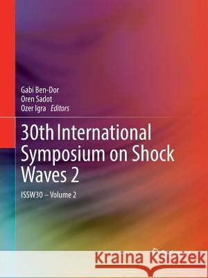 30th International Symposium on Shock Waves 2: Issw30 - Volume 2 Gabi Ben-Dor Oren Sadot Ozer Igra 9783319831527 Springer
