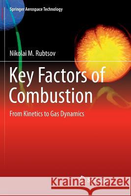 Key Factors of Combustion: From Kinetics to Gas Dynamics Rubtsov, Nikolai M. 9783319834153 Springer