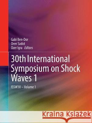 30th International Symposium on Shock Waves 1: Issw30 - Volume 1 Ben-Dor, Gabi 9783319834696 Springer