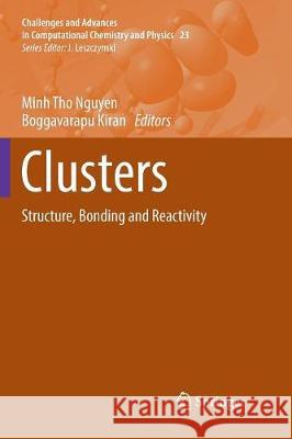 Clusters: Structure, Bonding and Reactivity Nguyen, Minh Tho 9783319840475 Springer