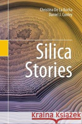 Silica Stories Christina D Daniel J. Conley 9783319853062 Springer