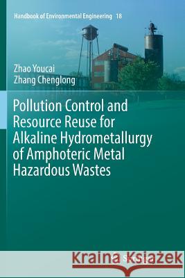 Pollution Control and Resource Reuse for Alkaline Hydrometallurgy of Amphoteric Metal Hazardous Wastes Youcai, Zhao; Chenglong, Zhang 9783319855820