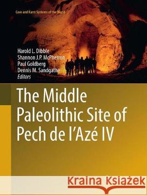 The Middle Paleolithic Site of Pech de l'Azé IV  9783319861845 Springer International Publishing