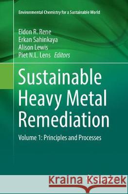 Sustainable Heavy Metal Remediation: Volume 1: Principles and Processes Rene, Eldon R. 9783319864440